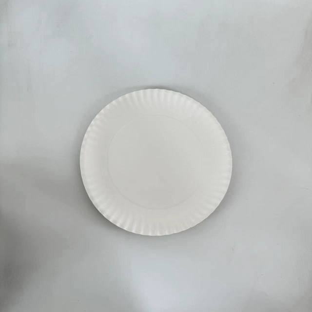 9inch white paper plate